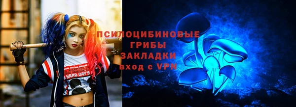 эйфоретик Дмитриев