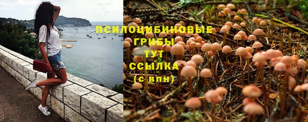 меф Дмитровск