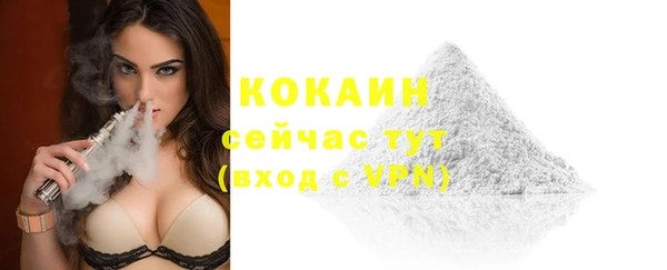 эйфоретик Дмитриев