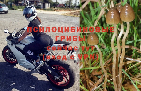 спиды Дмитров