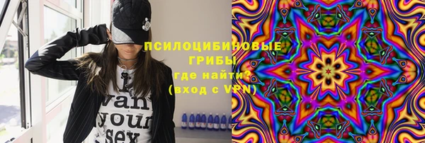 эйфоретик Дмитриев