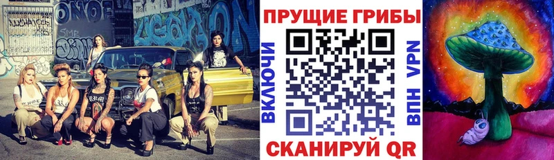omg ONION Камызяк Галлюциногенные грибы Cubensis магазин продажи